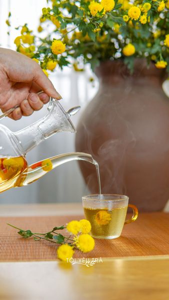 trà hoa cúc, tác dụng của trà hoa cúc, trà hoa cúc chi Hưng yên, cách pha trà hoa cúc, trà hoa cúc sấy lạnh