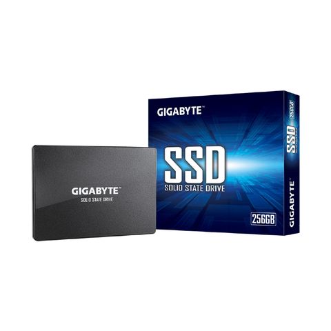  Ổ cứng SSD Gigabyte 256GB GP-GSTFS31256GTND (2.5