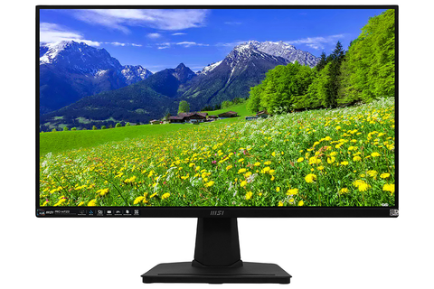  Màn hình máy tính LCD MSI PRO MP251 24.5