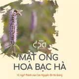  Mật ong Hoa Bạc Hà Đại Phú An (C/250ml) 