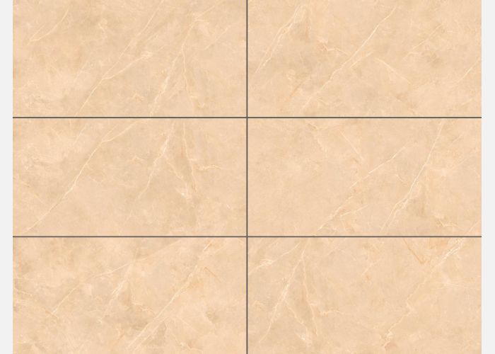 21.A.612.1912 60X120CM | PORCELAIN SAVANA