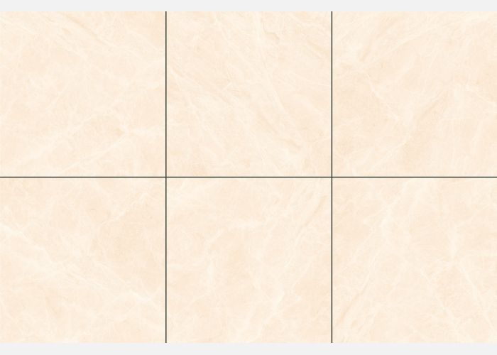 21.A.880.1824 80X80CM | PORCELAIN ALMERA