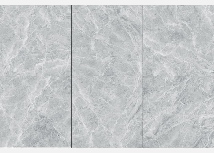 21.A.660.1623 60X60CM | PORCELAIN ALMERA