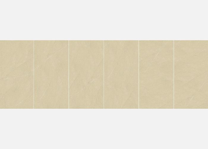 21.P.612.1961 60X120CM | PORCELAIN COLUMBO