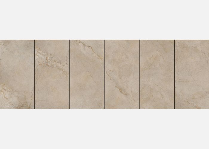 21.B.612.2858 60X120CM | PORCELAIN SILVER ROOT
