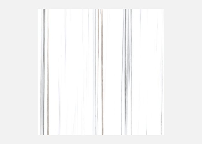 21.B.880.6732 80X80CM | PORCELAIN LINE VENATO