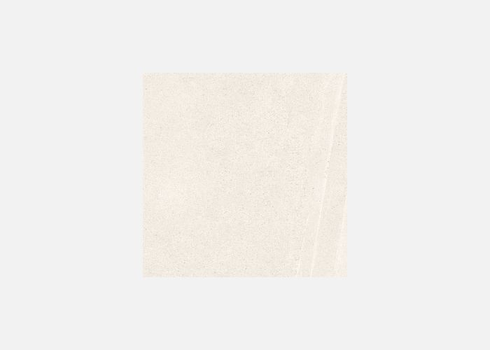 21.E.660.0080 60X60CM | PORCELAIN BASENTINA MOKA
