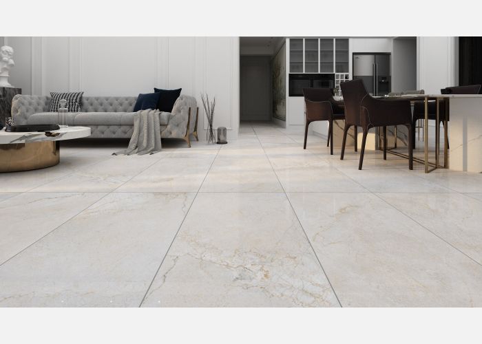 21.B.612.2856 60X120CM | PORCELAIN SILVER ROOT