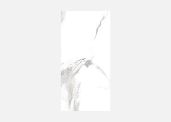 21.E.360.9163 30X60CM | PORCELAIN STATUARIO