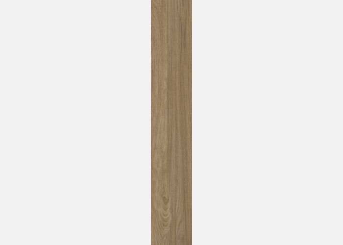 21.A.212.2461 20X120CM | PORCELAIN ADENIA