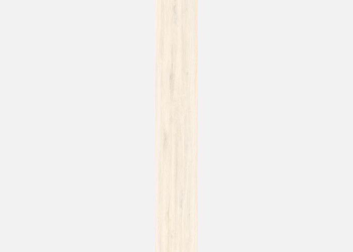21.A.212.2461 20X120CM | PORCELAIN ADENIA