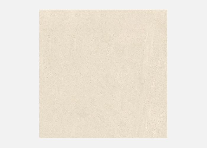 21.E.660.0081 60X60CM | PORCELAIN BASENTINA MOKA