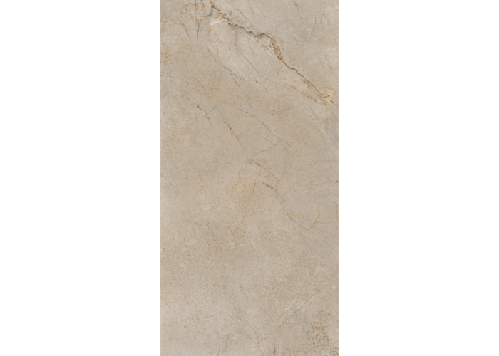 21.B.612.2858 60X120CM | PORCELAIN SILVER ROOT