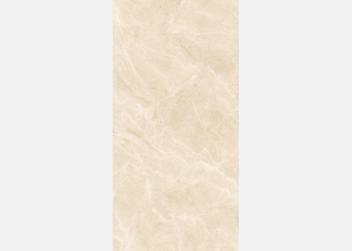 21.A.612.1994 60X120CM | PORCELAIN ALMERA
