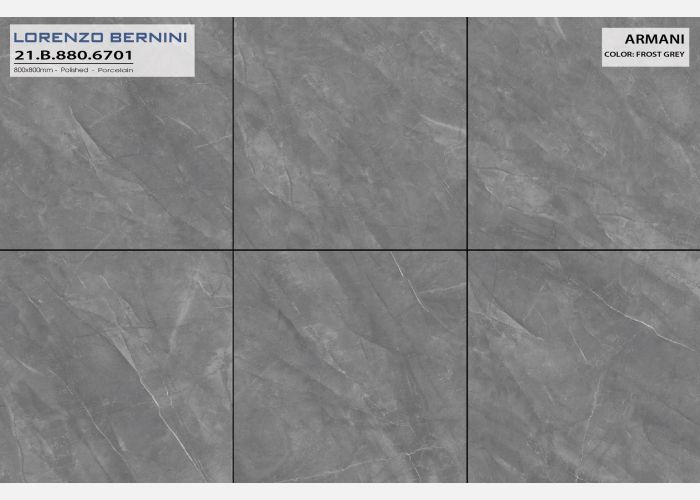 21.B.880.6701 80X80CM | PORCELAIN ARMANI