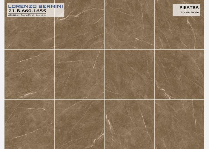 21.B.660.1655 60X60CM | PORCELAIN PIETRA