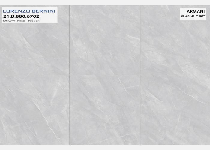 21.B.880.6702 80X80CM | PORCELAIN ARMANI