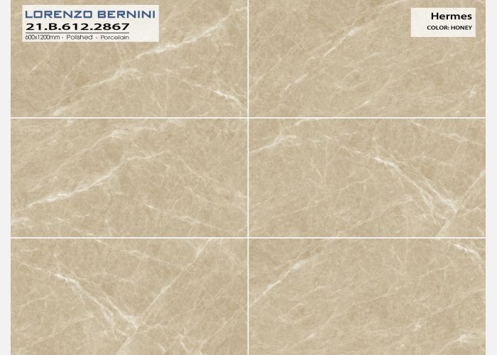 21.B.612.2867 60X120CM | PORCELAIN HERMES