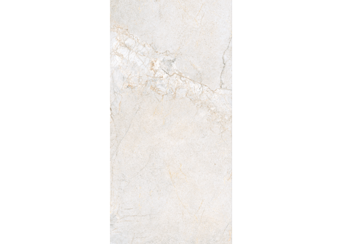21.B.612.2856 60X120CM | PORCELAIN SILVER ROOT