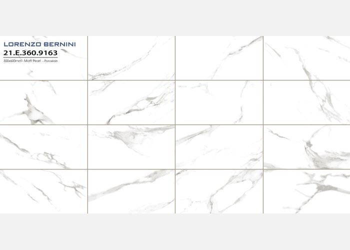 21.E.360.9163 30X60CM | PORCELAIN STATUARIO