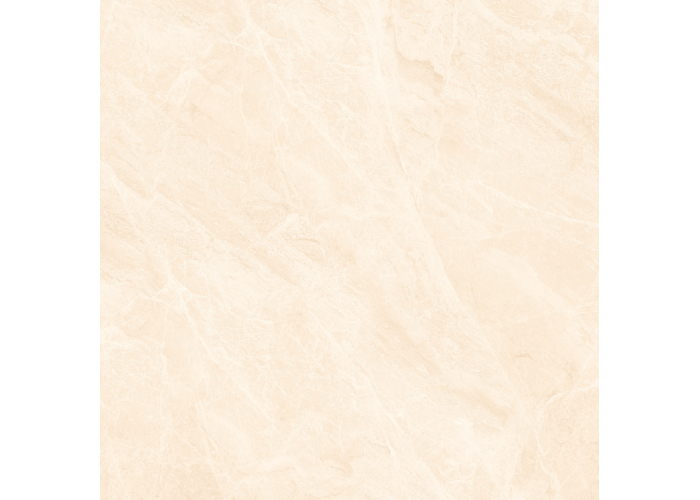 21.A.880.1824 80X80CM | PORCELAIN ALMERA