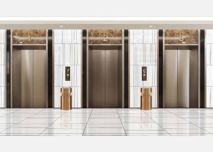 21.B.880.6732 80X80CM | PORCELAIN LINE VENATO