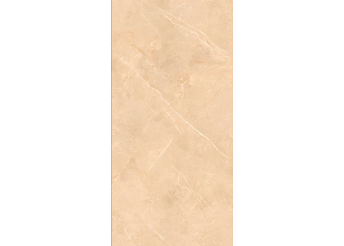 21.A.612.1912 60X120CM | PORCELAIN SAVANA