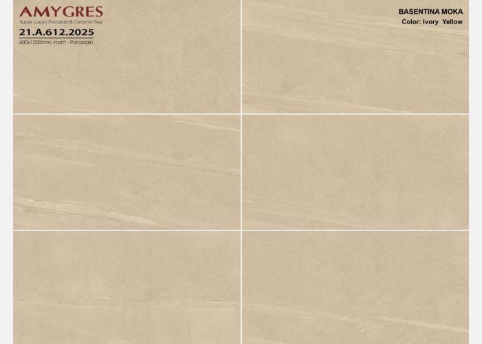 21.A.612.2025 60X120CM | PORCELAIN BASENTINA MOKA