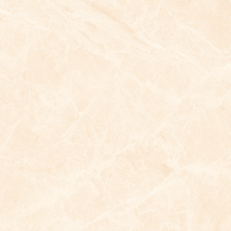 21.A.880.1824 80X80CM | PORCELAIN ALMERA