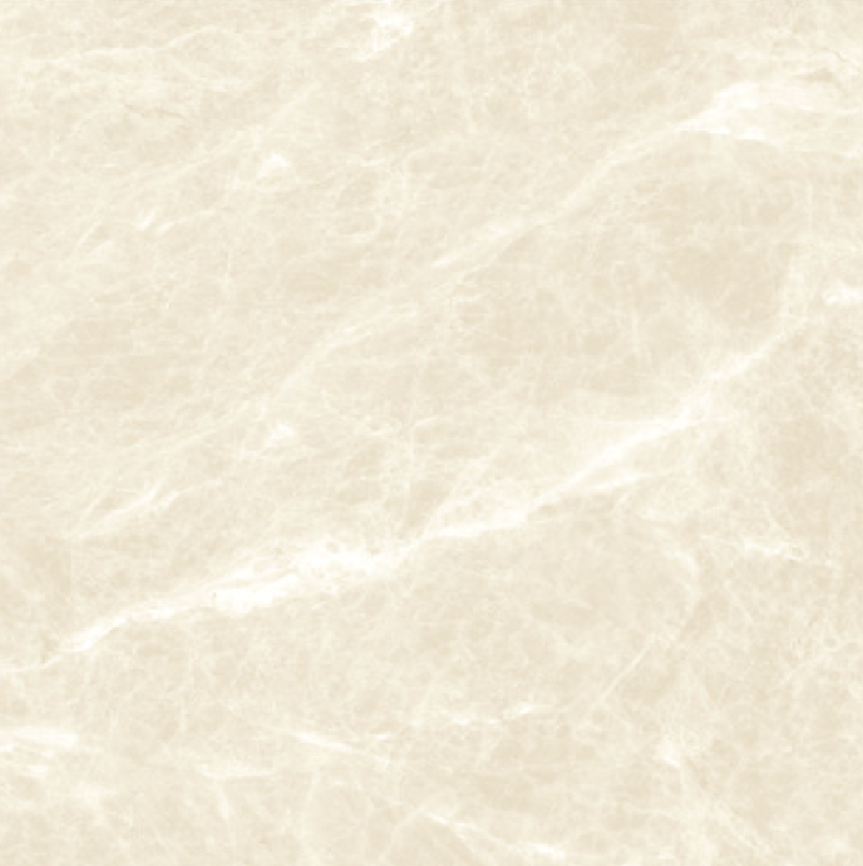 21.B.880.5516 80X80CM | PORCELAIN HERMES
