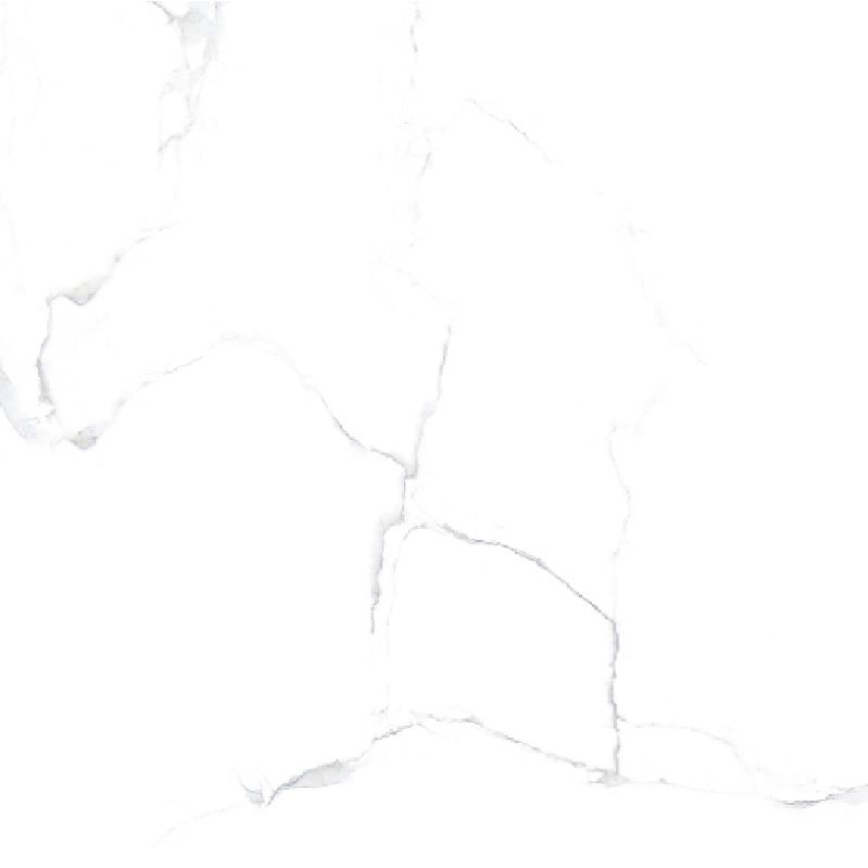 21.A.660.0667 60X60CM | PORCELAIN KAPAK
