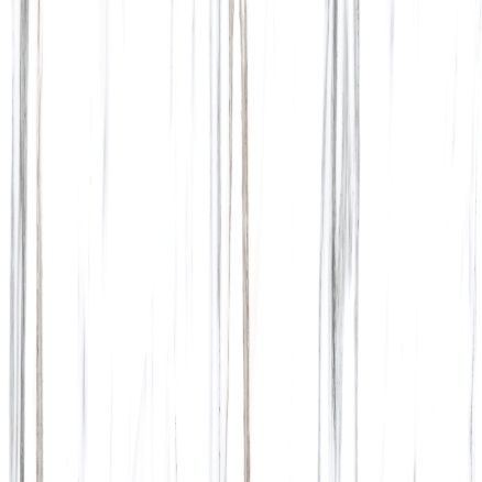 21.B.880.6732 80X80CM | PORCELAIN LINE VENATO