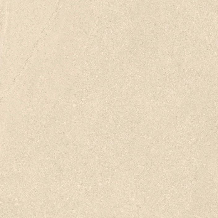 21.A.612.2026 60X120CM | PORCELAIN BASENTINA MOKA