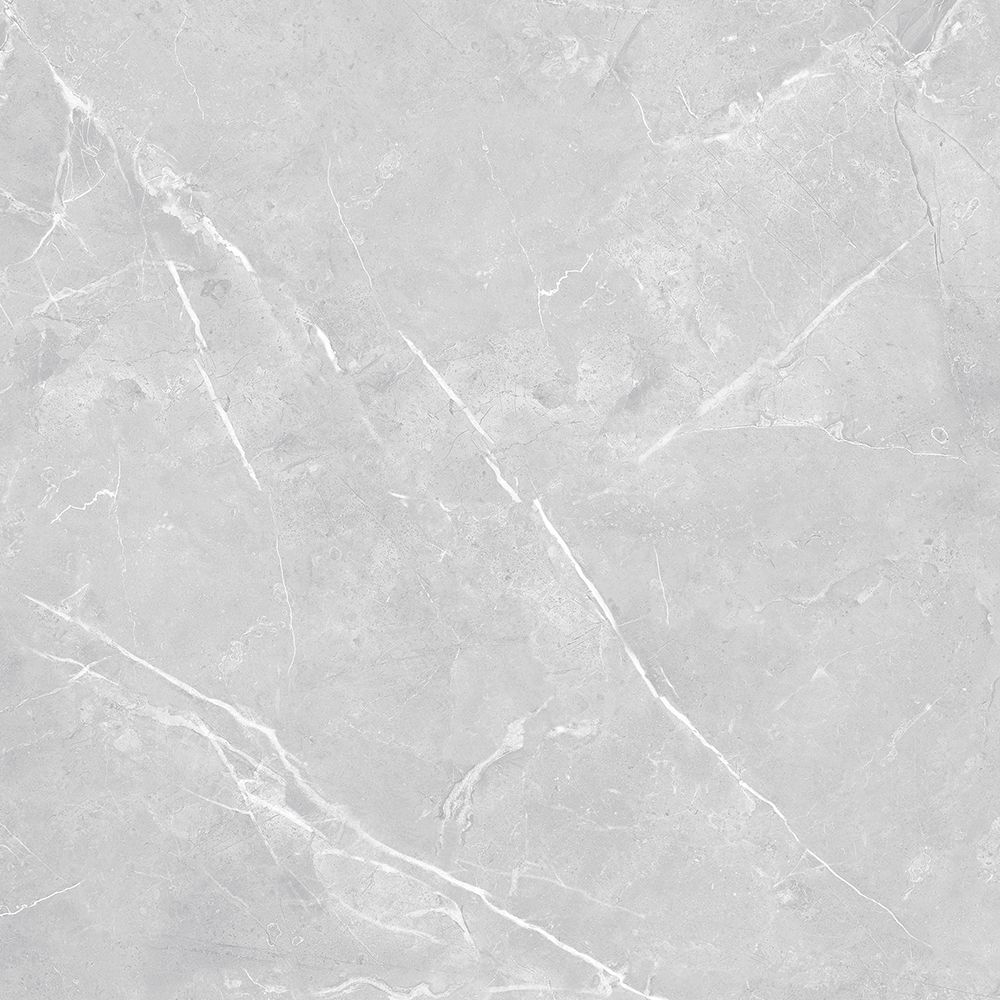 21.A.612.1909 60X120CM | PORCELAIN SAVANA