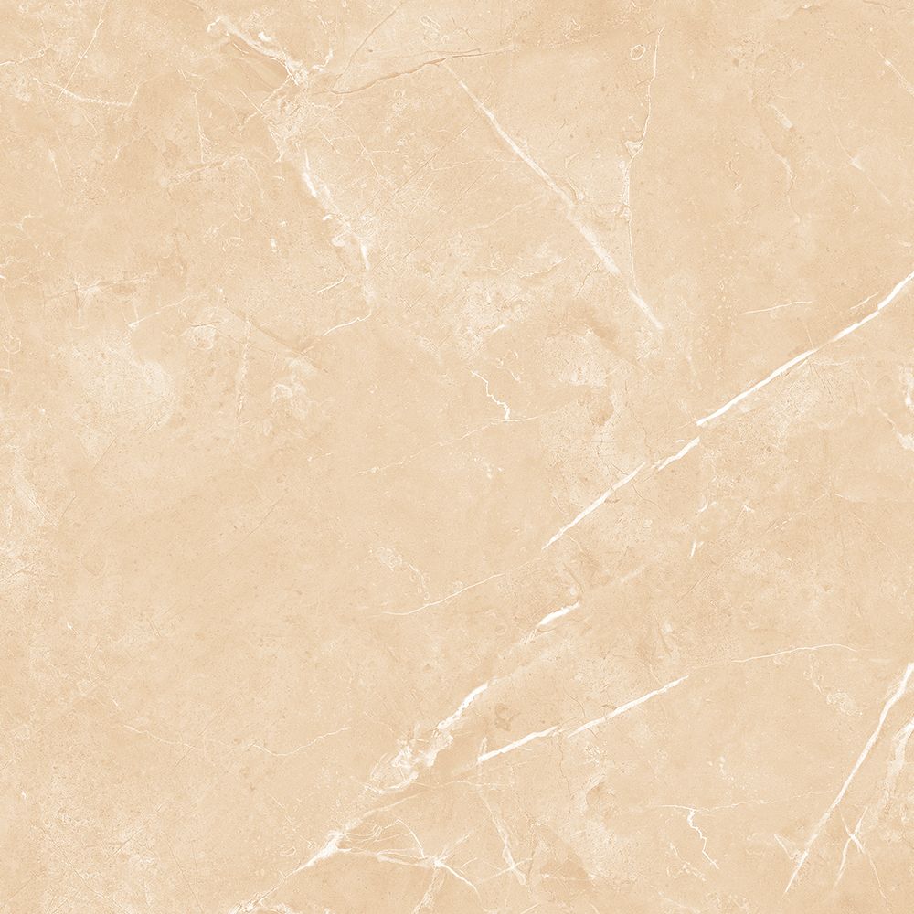 21.A.612.1912 60X120CM | PORCELAIN SAVANA