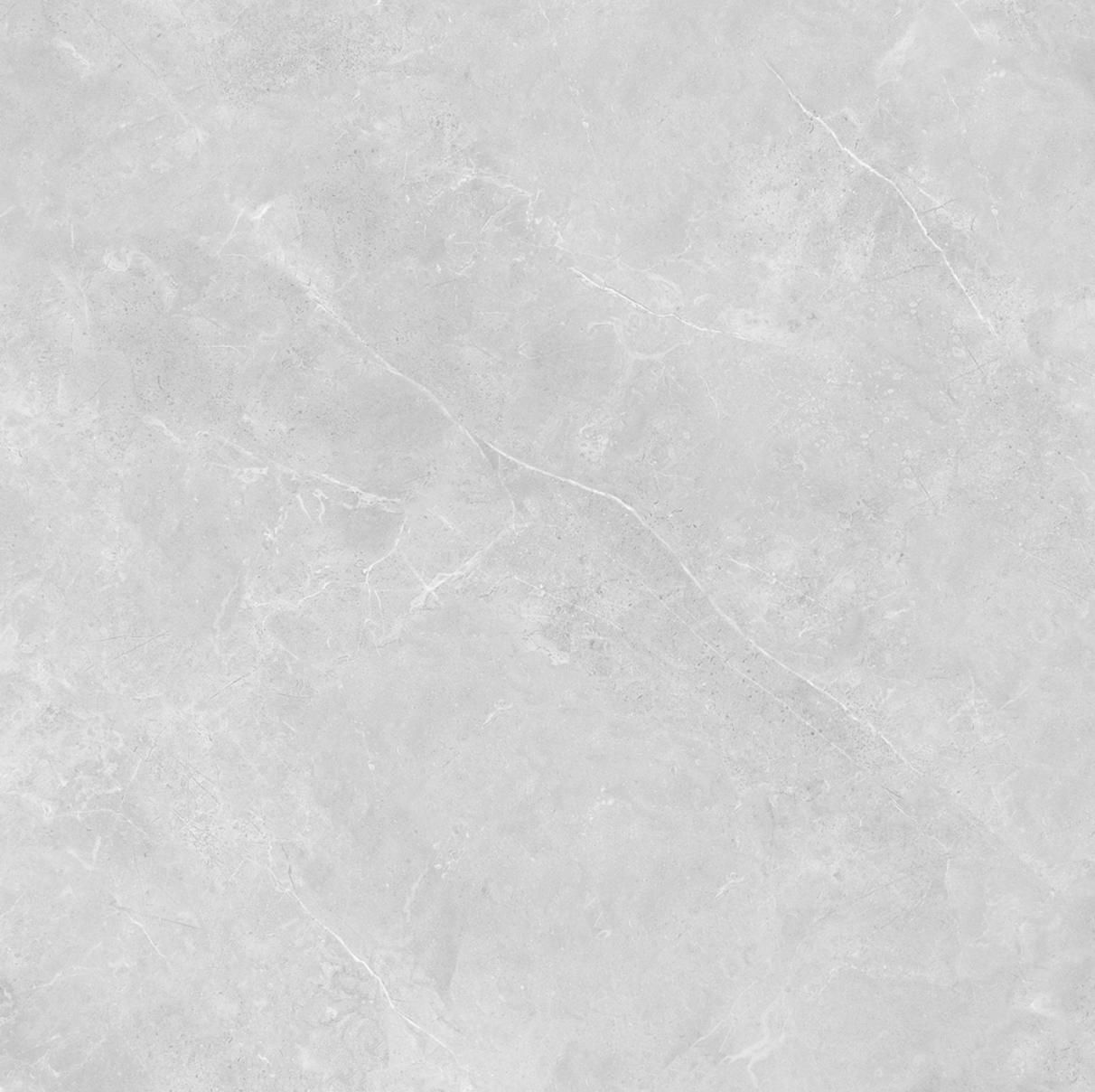 21.E.660.9653 60X60CM | PORCELAIN SAVANA