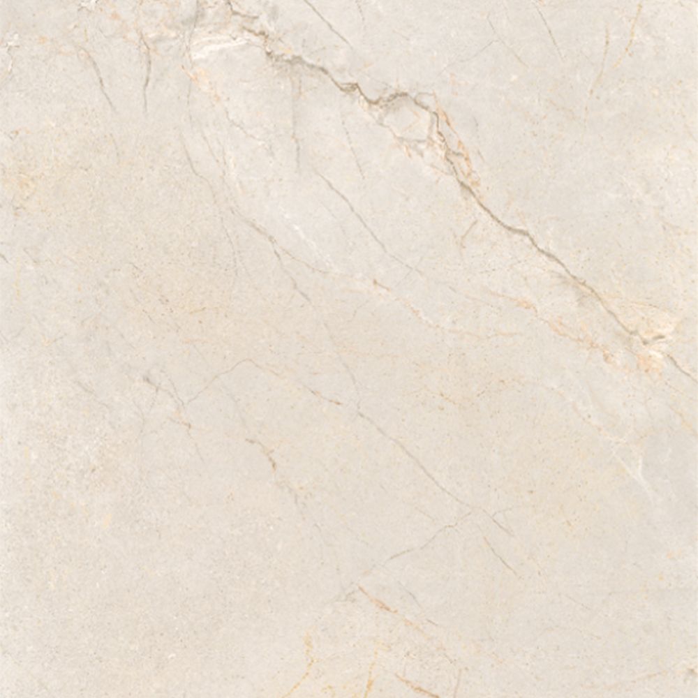 21.B.612.2856 60X120CM | PORCELAIN SILVER ROOT