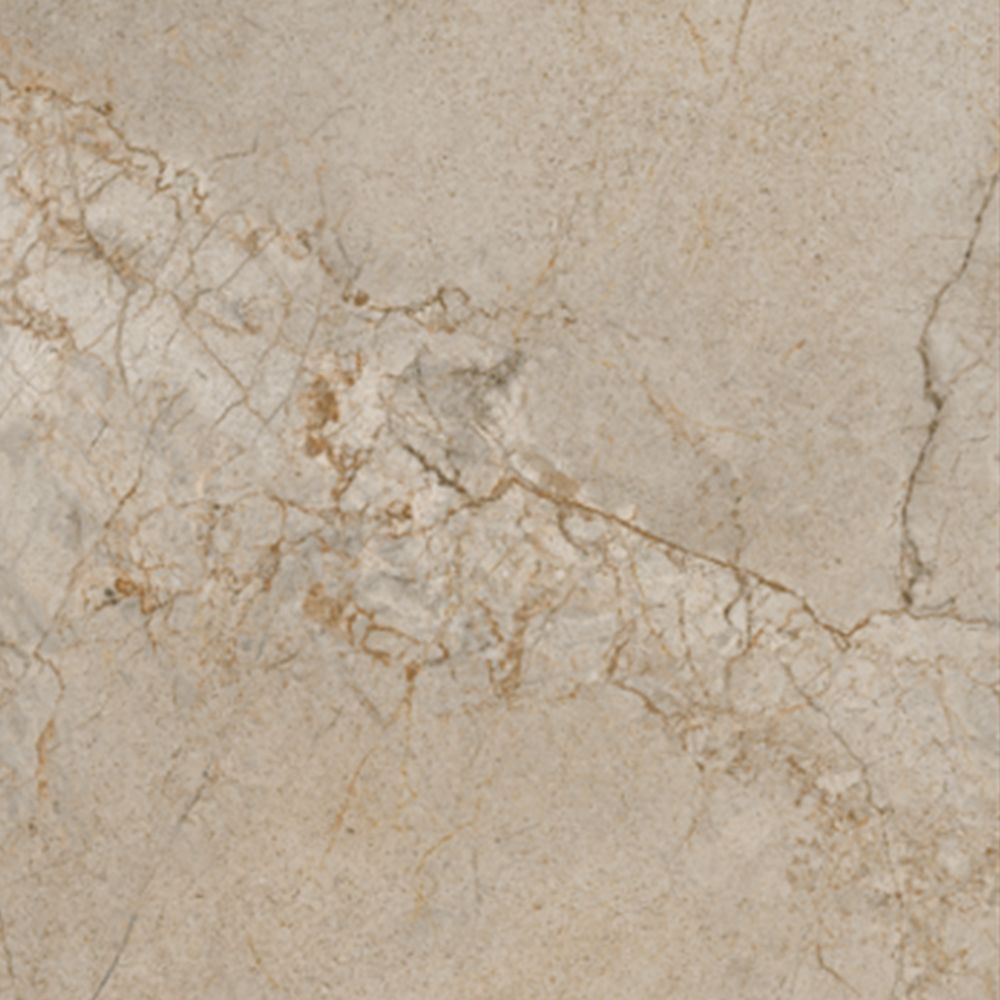 21.B.612.2858 60X120CM | PORCELAIN SILVER ROOT