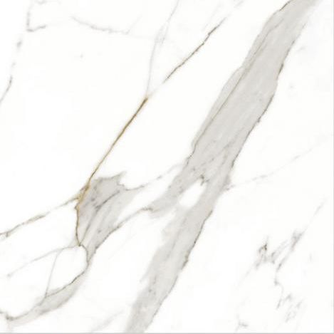21.E.880.9856 60X120CM | PORCELAIN STATUARIO