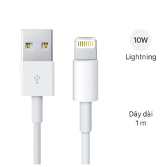 Cáp Lightning 1m Apple