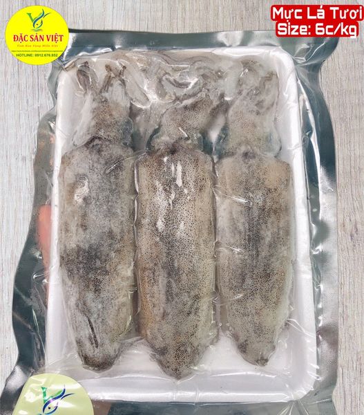  Mực Lá Tươi (Size 6 con/kg) 