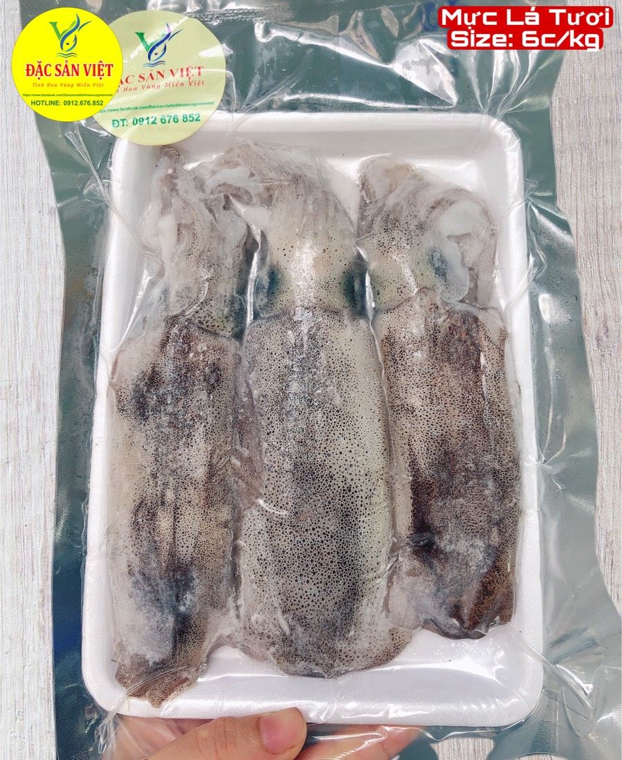  Mực Lá Tươi (Size 6 con/kg) 