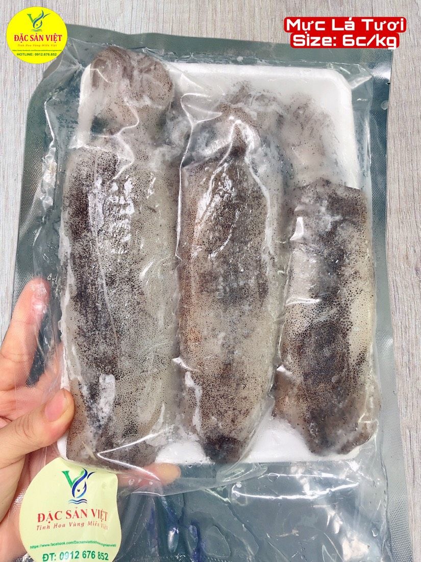  Mực Lá Tươi (Size 6 con/kg) 