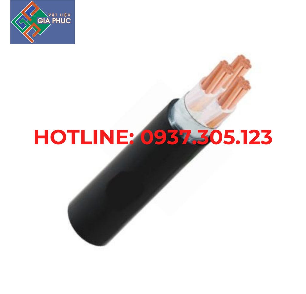 DÂY ĐIỆN CXV/DSTA 3X16/0.6/1KV