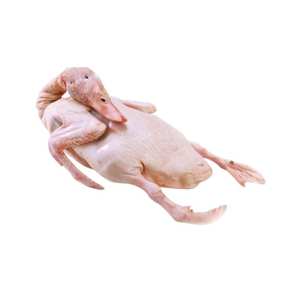 Vịt cỏ nguyên con (kg)