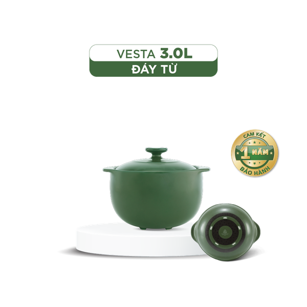 Nồi dưỡng sinh Vesta (Nồi tròn cao) 3.0 L + nắp (CK) (bếp từ)