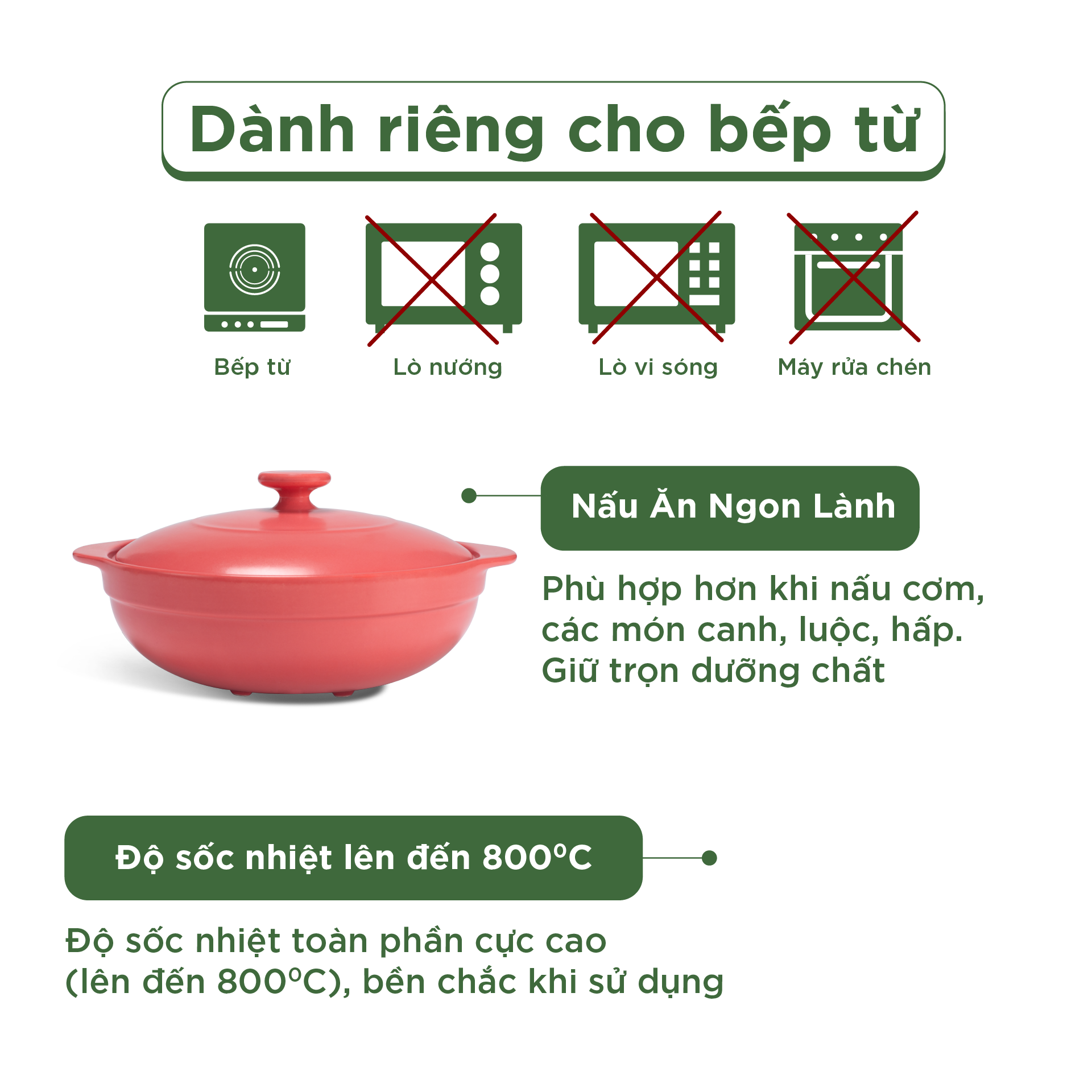 Nồi dưỡng sinh Luna (Nồi cạn) 2.0 L + nắp (CK) (bếp từ) - Màu Đỏ 2