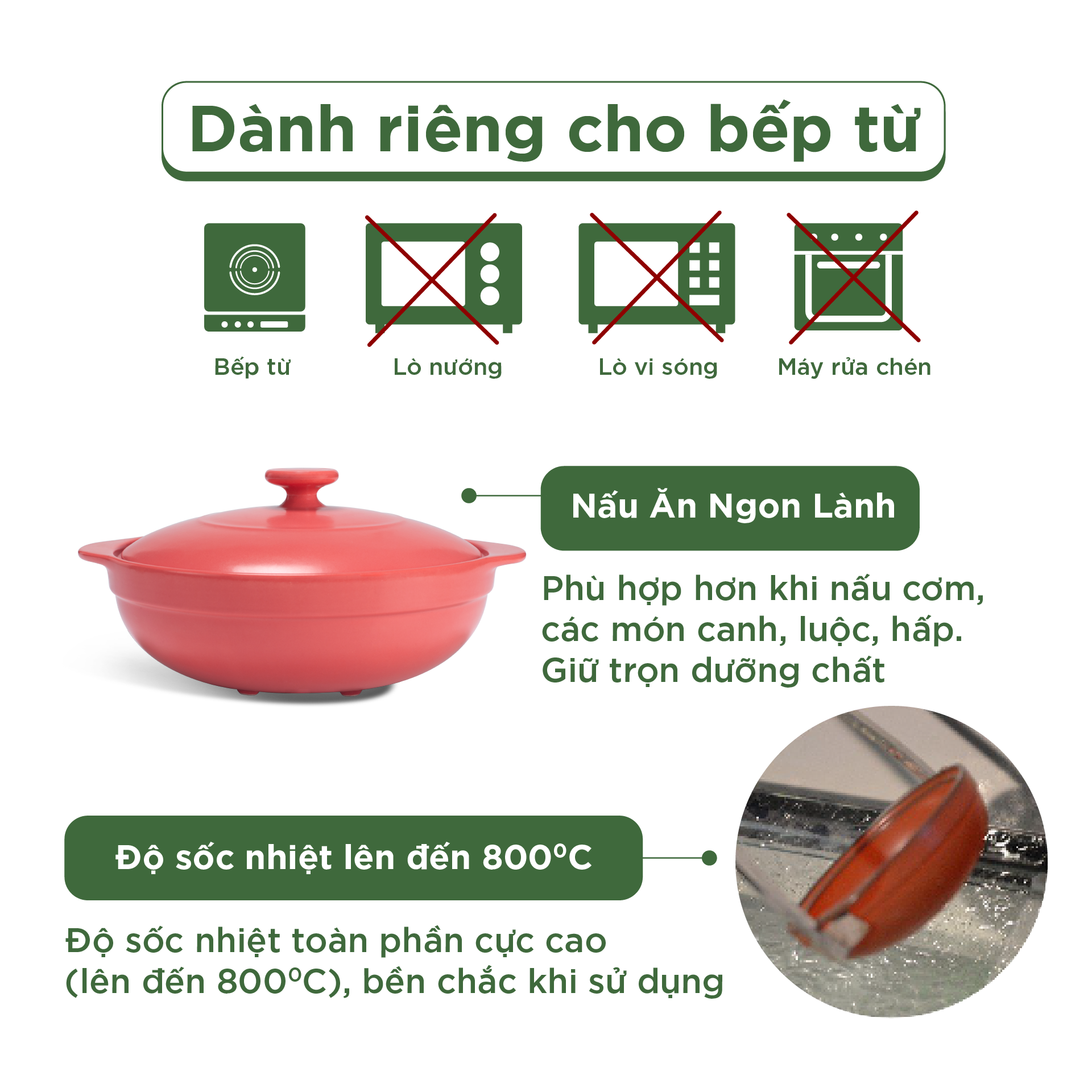 Nồi dưỡng sinh Luna (Nồi cạn) 3.0 L + nắp (CK) (bếp từ) - HealthyCook - Màu Đỏ 2