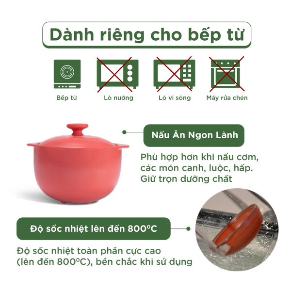 Nồi dưỡng sinh Vesta (Nồi tròn cao) 2.0 L + nắp (CK) (bếp từ) - Màu Đỏ 2