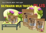 TRÀ KẾ SỮA SILYMARIN MILK THISTLE PLUS - GIẢI ĐỘC GAN 30 TÚI LỌC